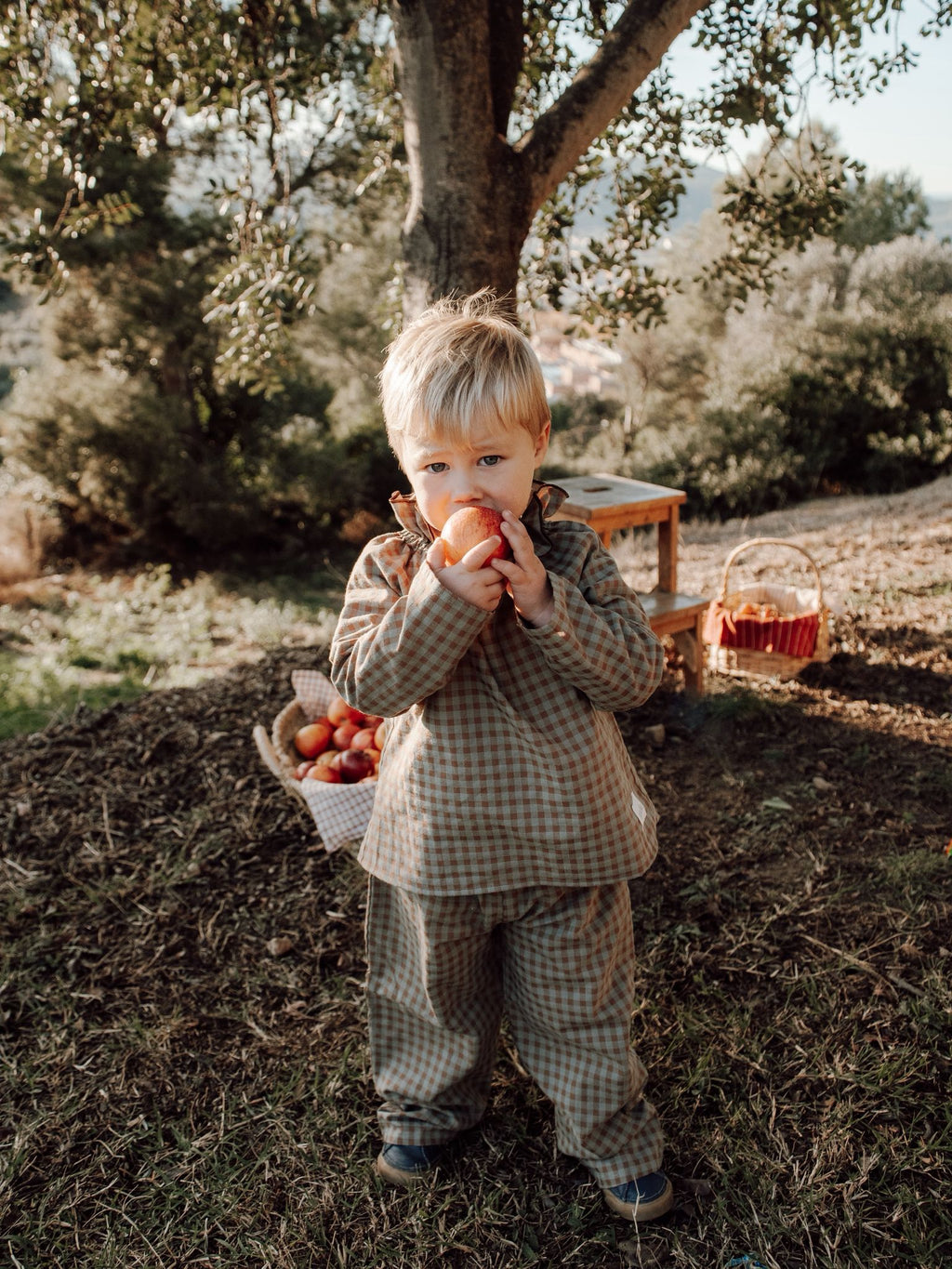 Nico's set in Sagewood Gingham