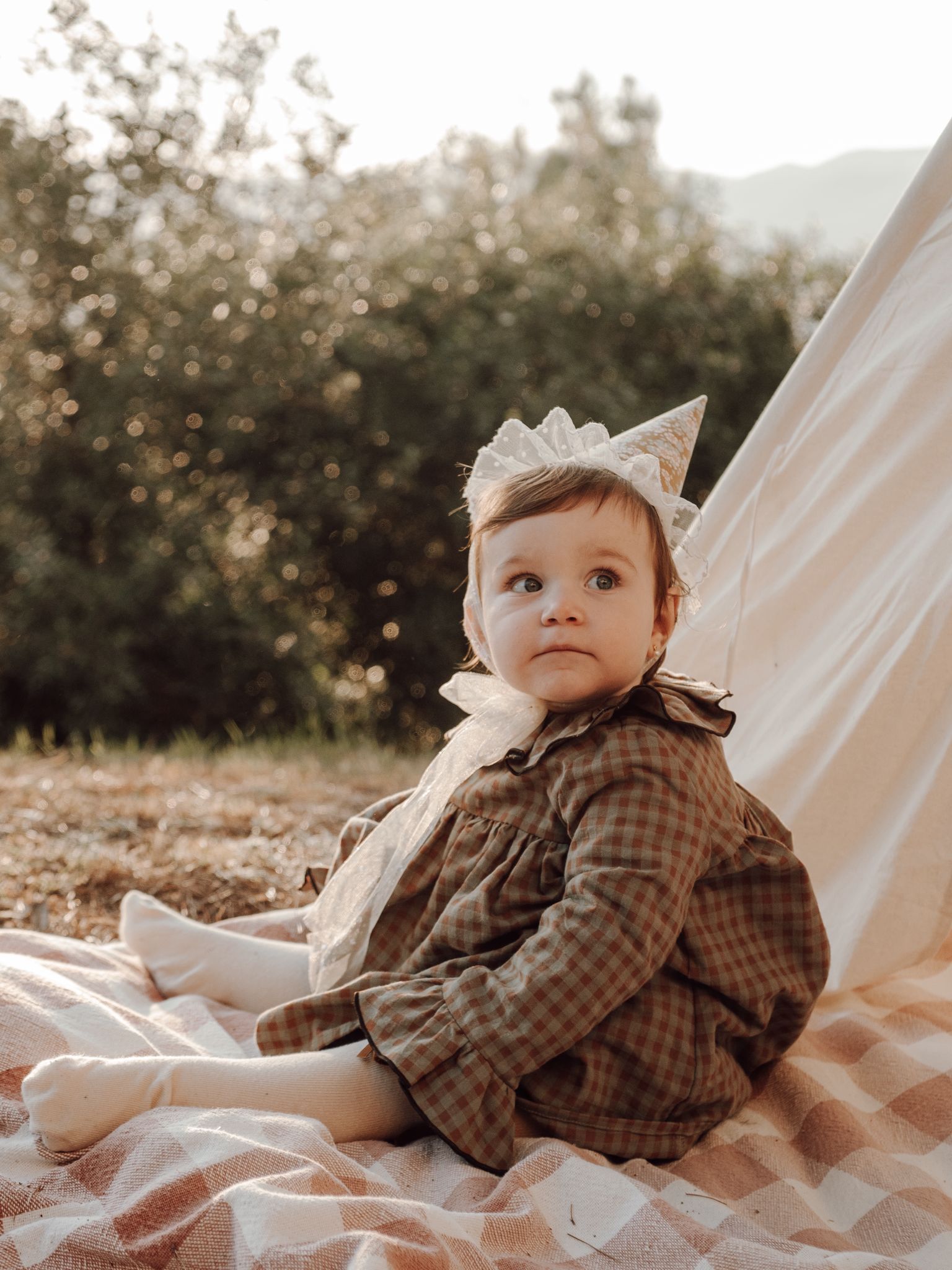 Filipa's dress in Sagewood Gingham