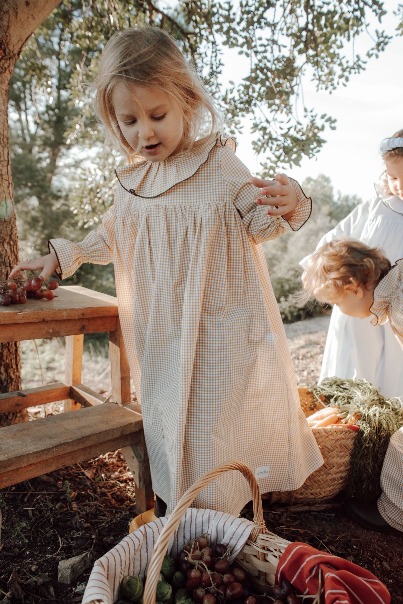 Petra's nightie in Honey