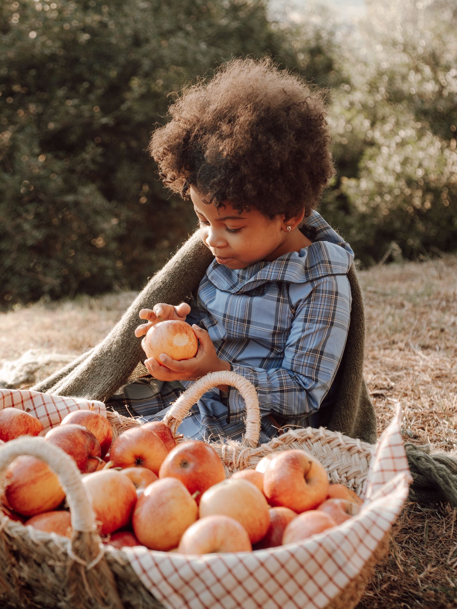 Olivia's set in Blue Mist Tartan