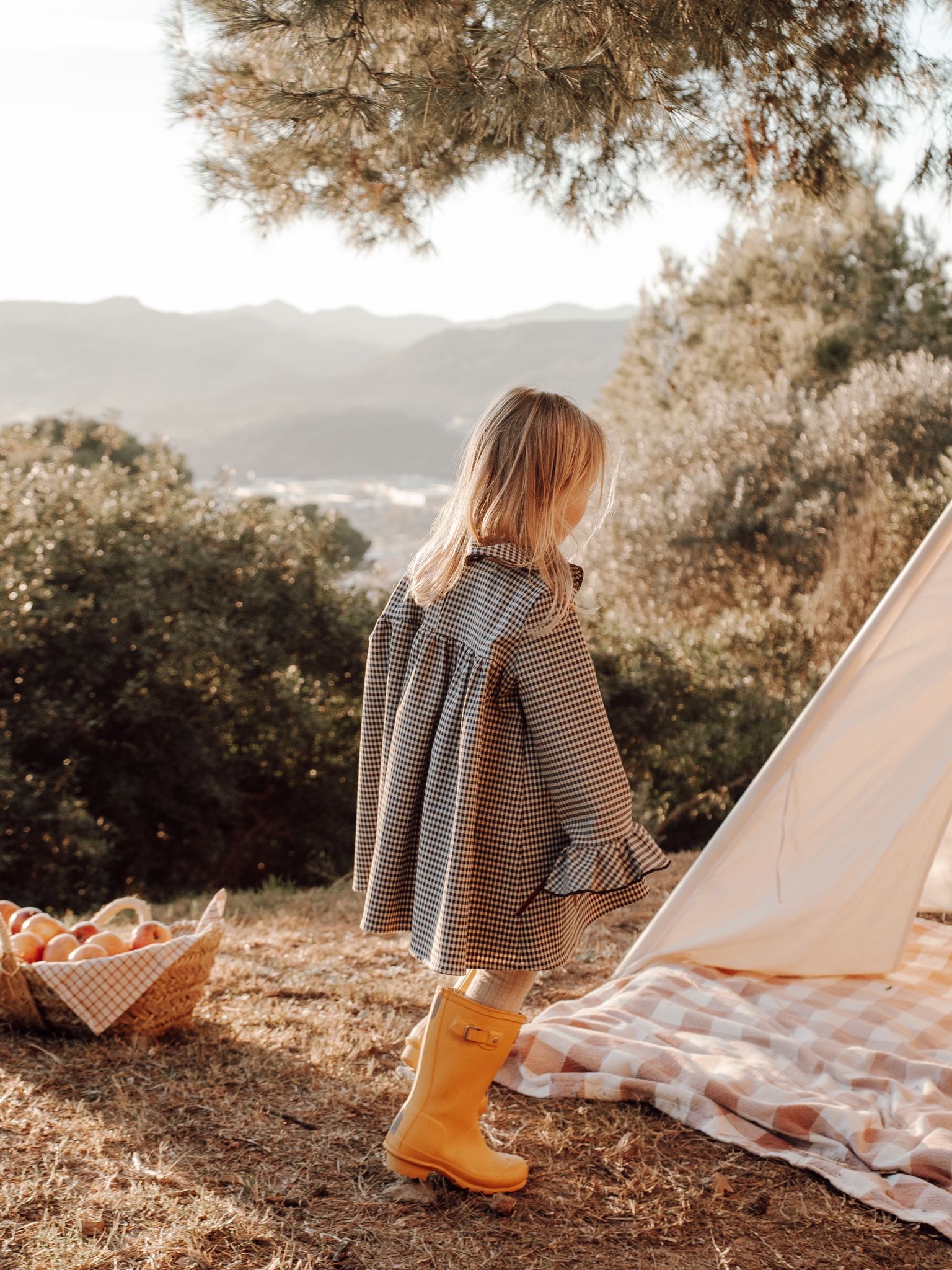 Filipa's dress in Navy and Berry Gingham
