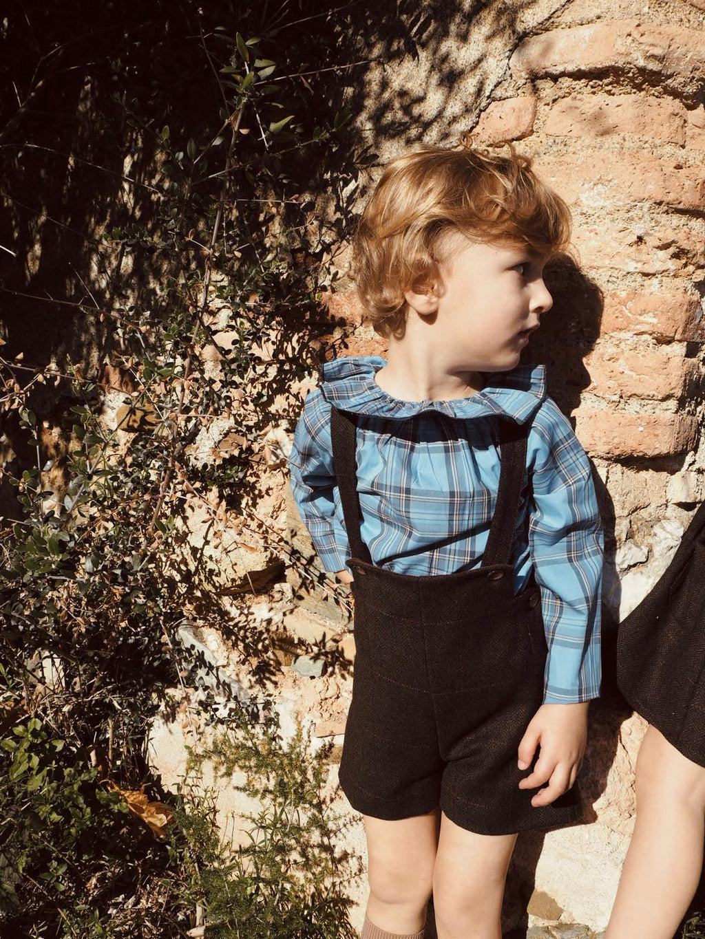 Lucas's shorts in Brown Wool