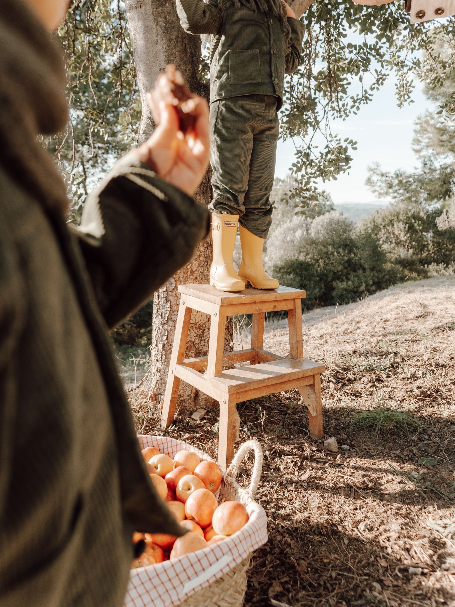 Bosco's Corduroys in Loden Green